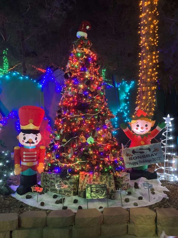 The Magical Forest at Opportunity Village