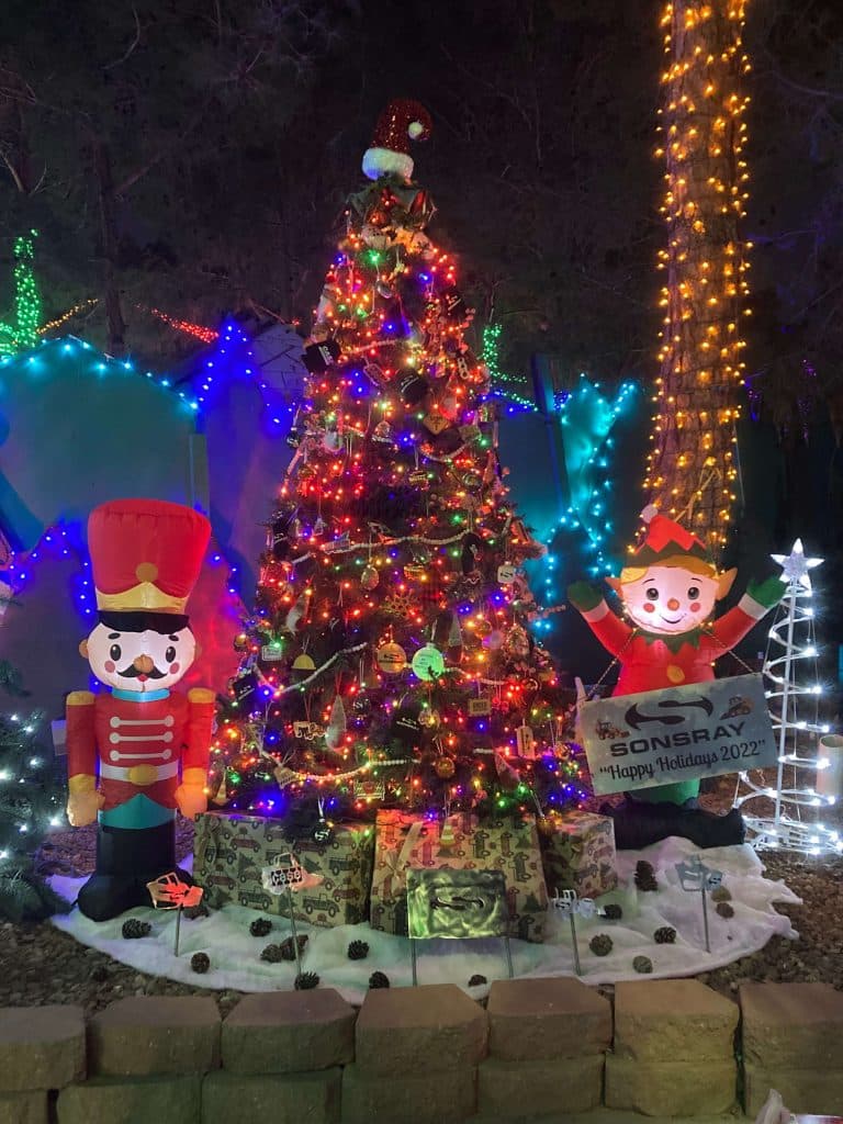 The Magical Forest at Opportunity Village
